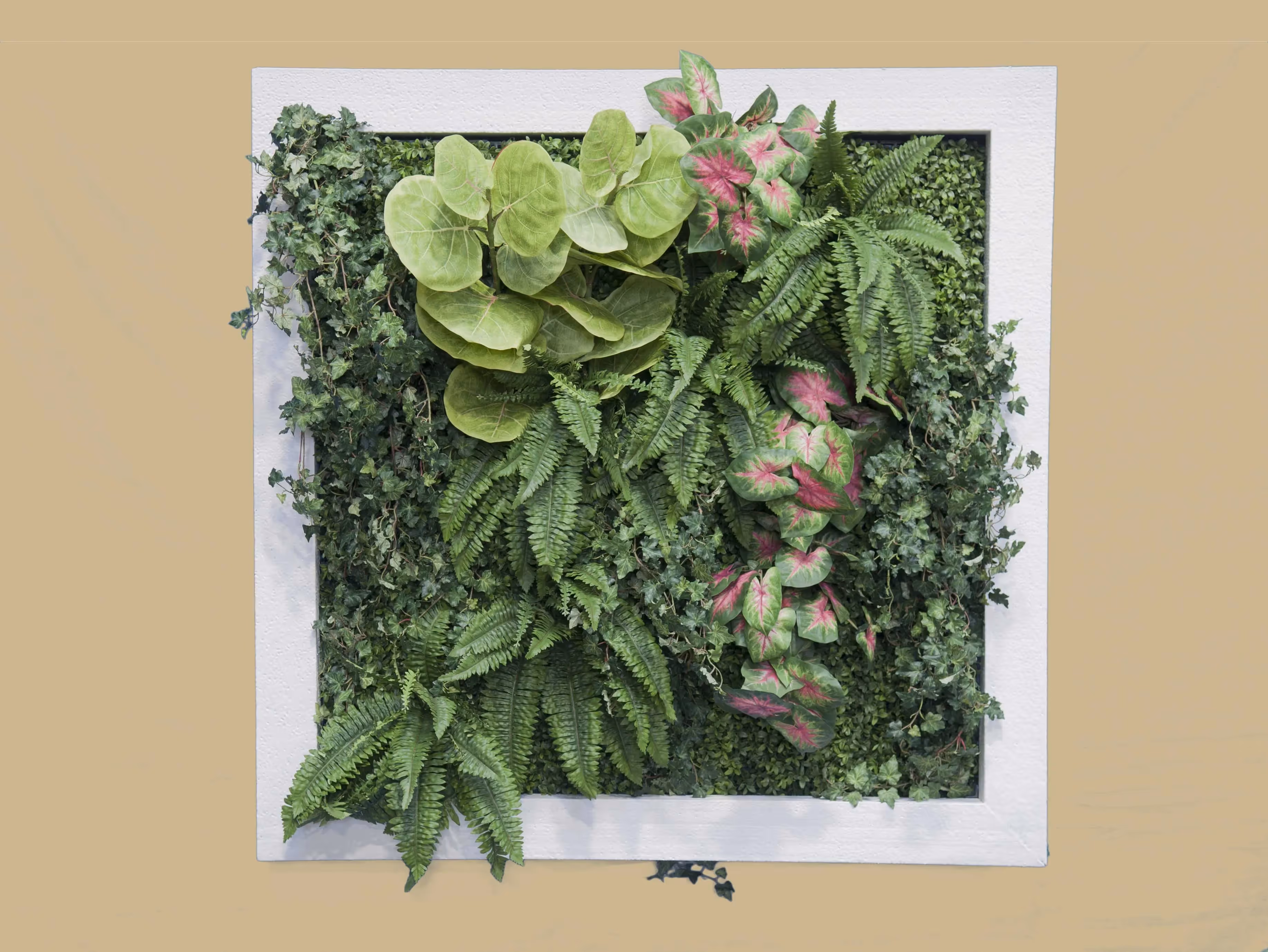 Artificial Green Wall Frames example 02