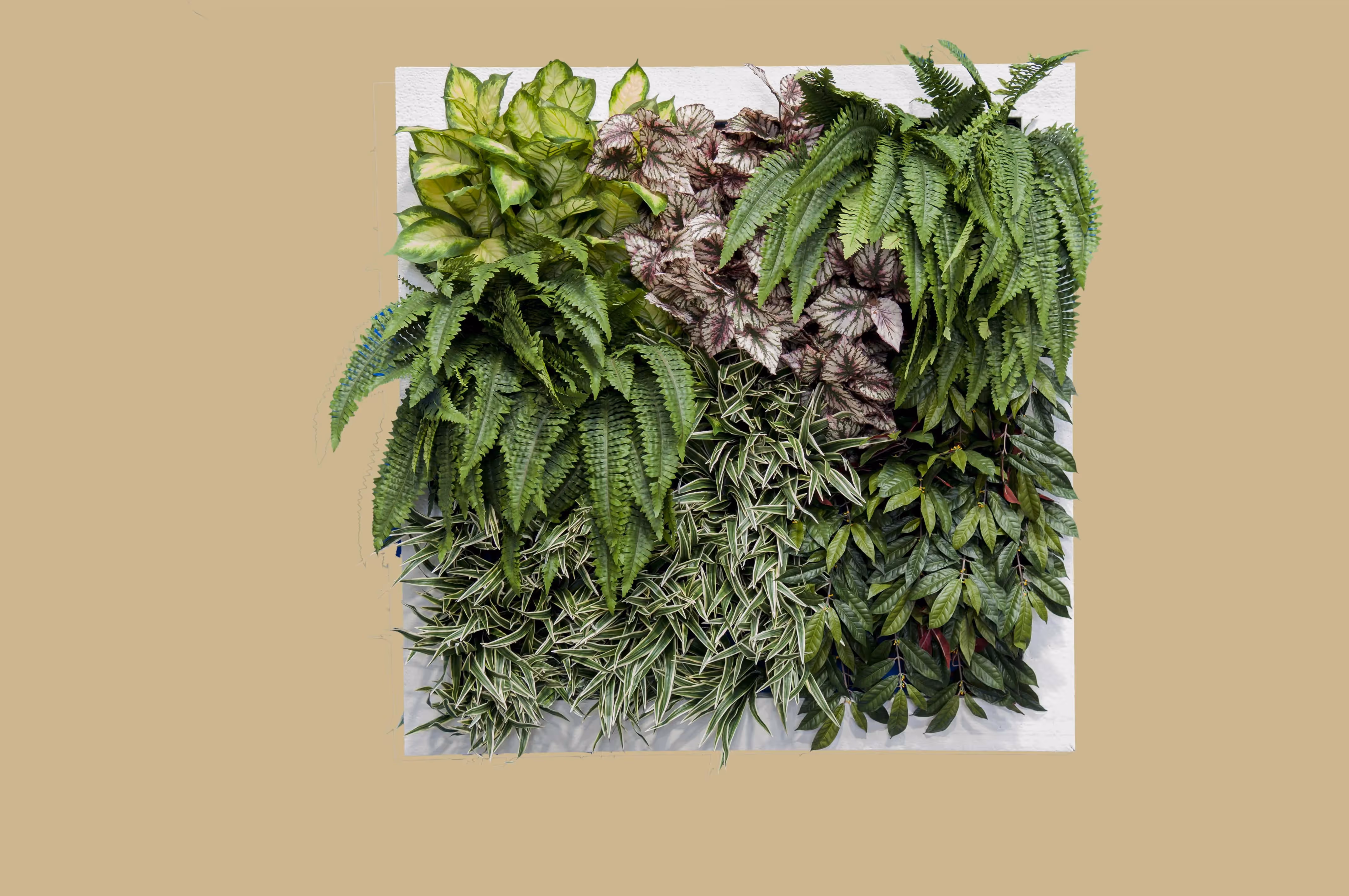 Artificial Green Wall Frames example 04
