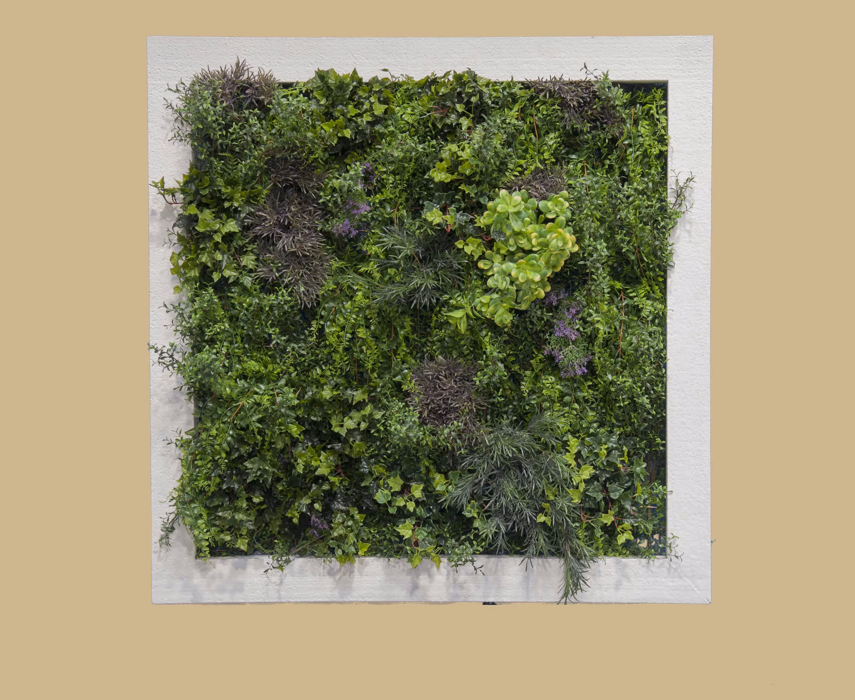 Artificial Green Wall Frames example 03