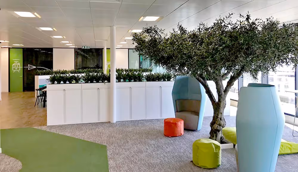 A WOW in the office!
