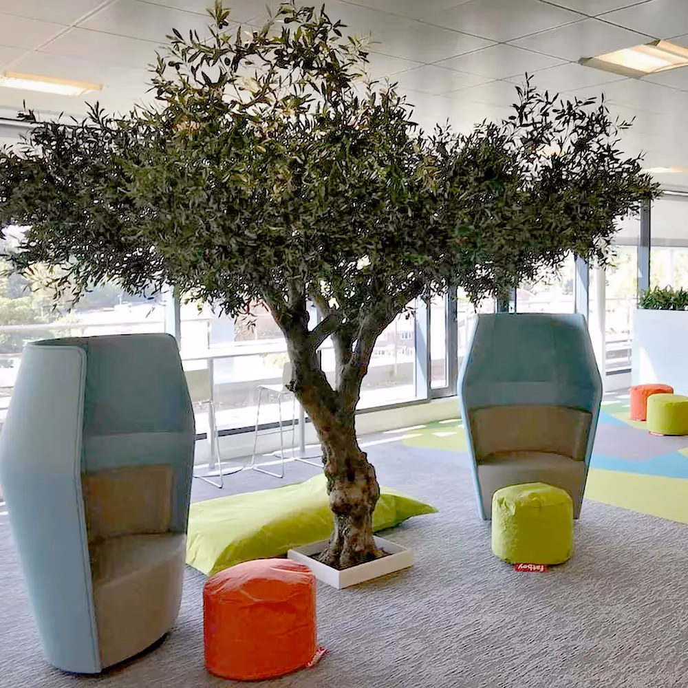 A WOW in the office!