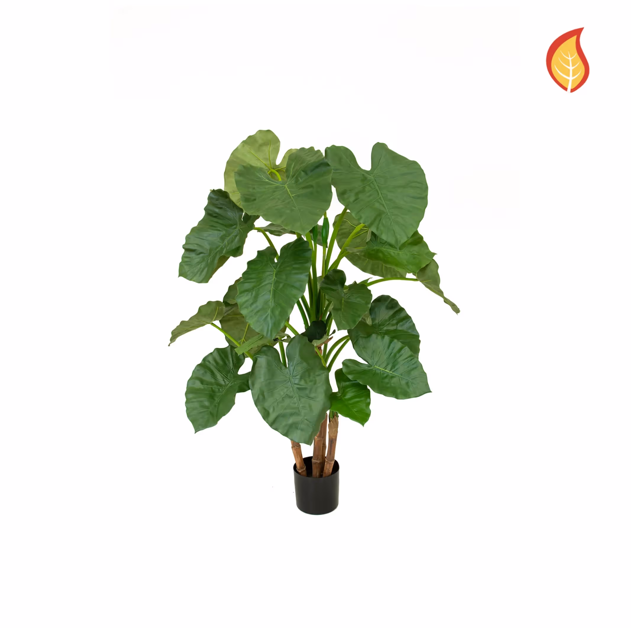 Artificial Alocasia Tree 120cm FR