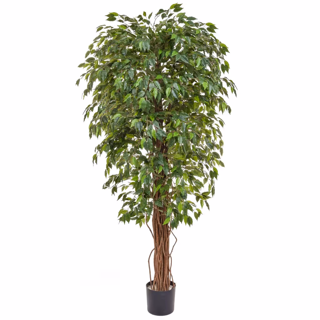 Artificial Ficus Liana Green 180cm