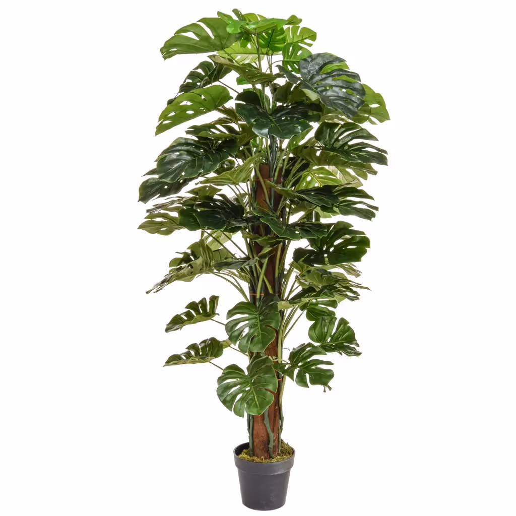 Artificial Monstera Tree 150cm