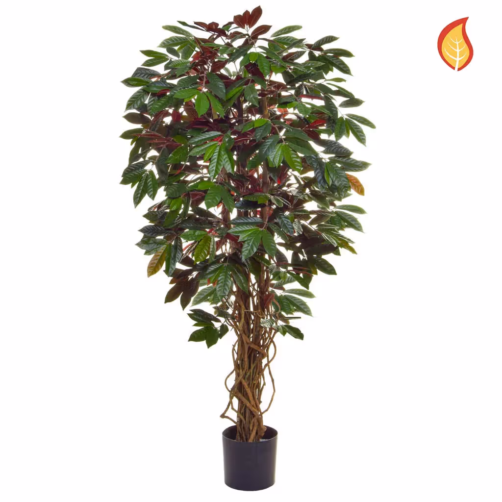Deluxe Artificial Capensia Liana Tree 120cm FR