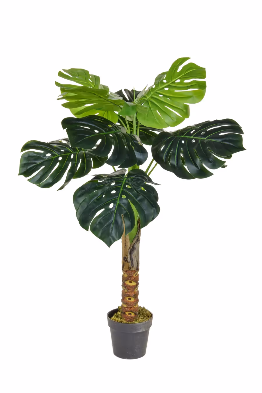 Artificial Tropical Trees