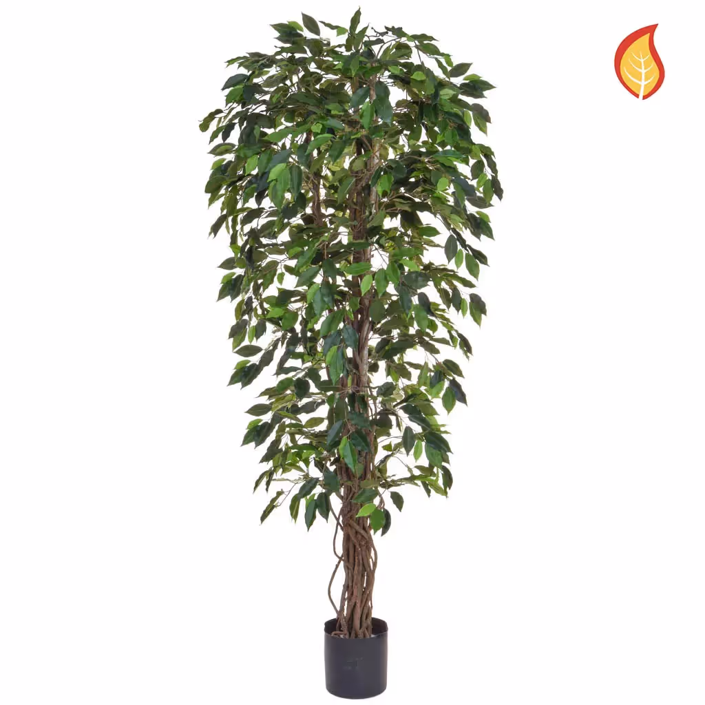 Artificial Green Ficus Liana Tree 180cm FR