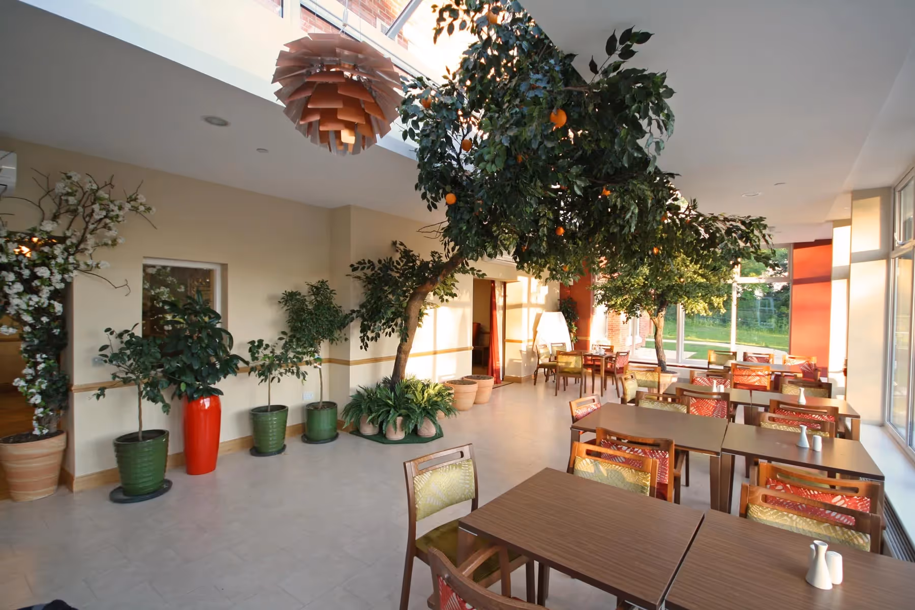 Artificial Corner and Leaning Trees in school