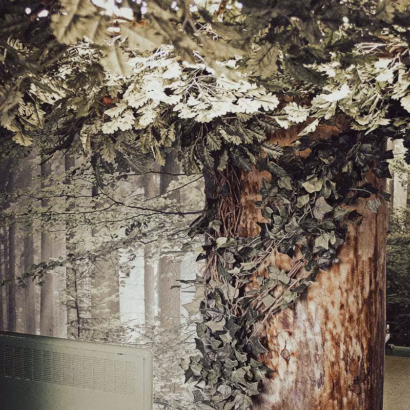 New to the plantART Blog? - Welcome!