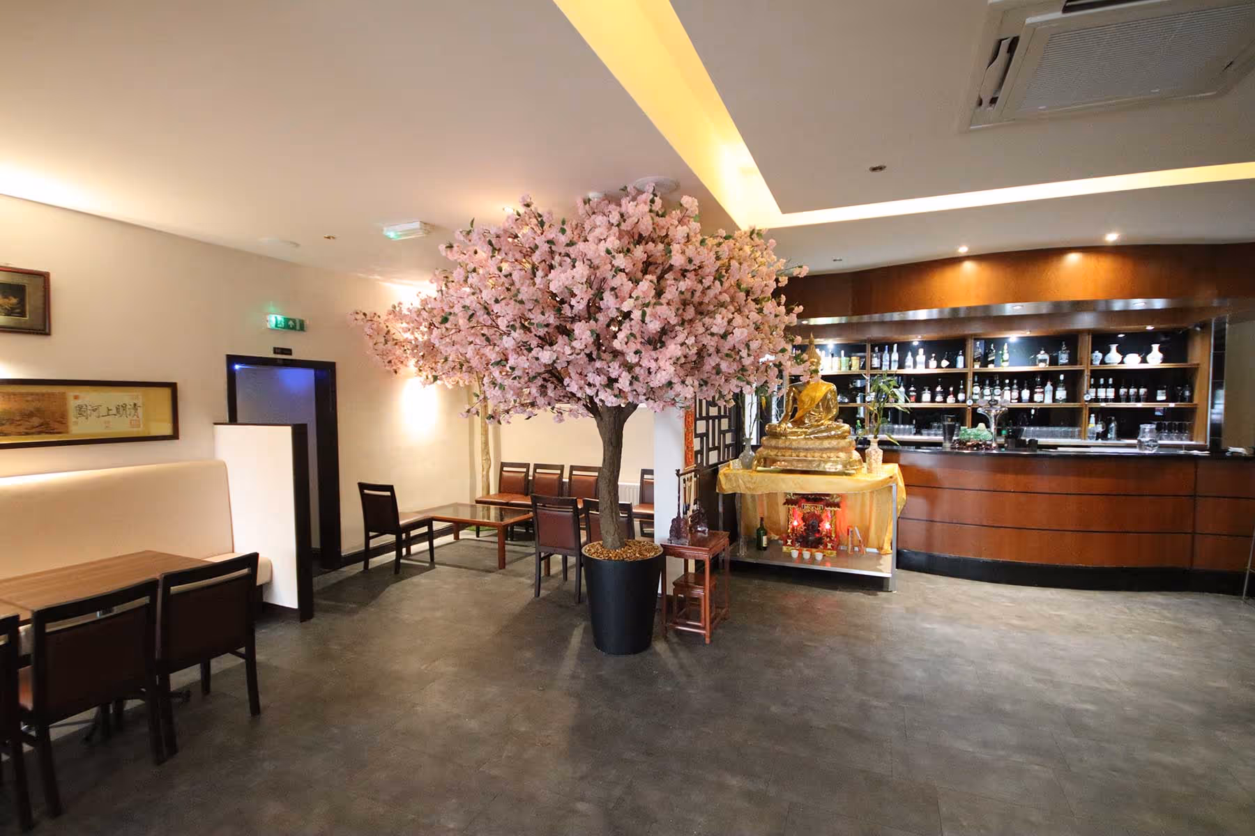 New to the plantART Blog? - Welcome!