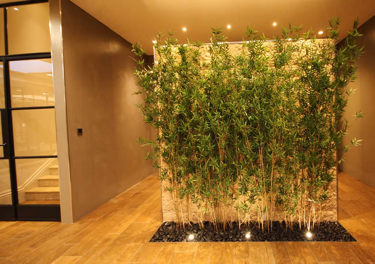 New to the plantART Blog? - Welcome!