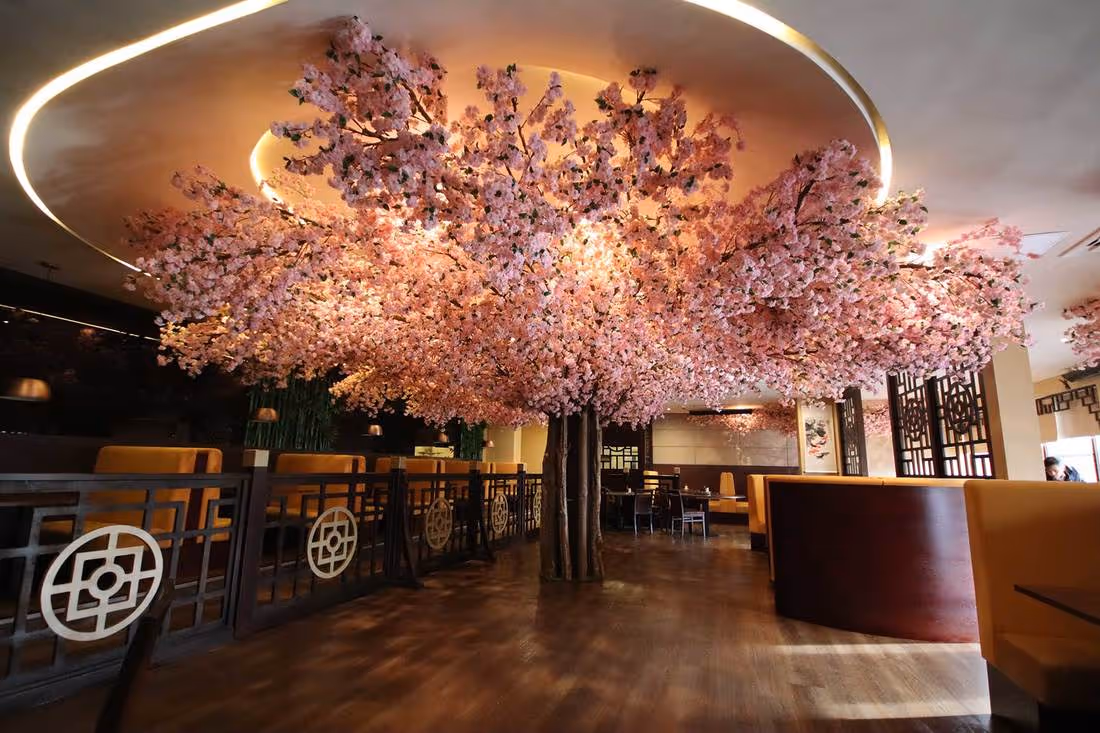 Crafting Ambiance with plantART