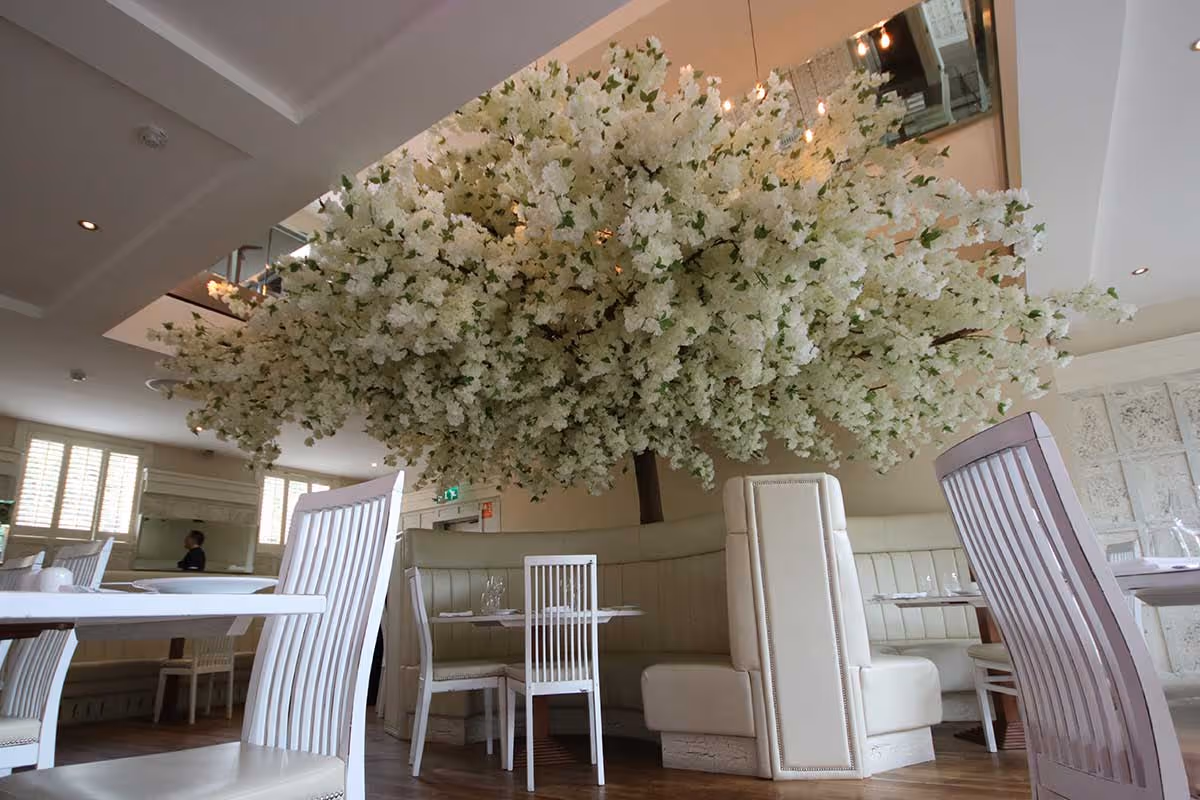 Crafting Ambiance with plantART