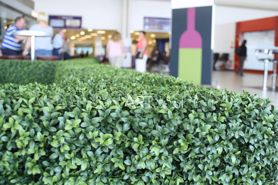 Thinking Outside The Box (and in)