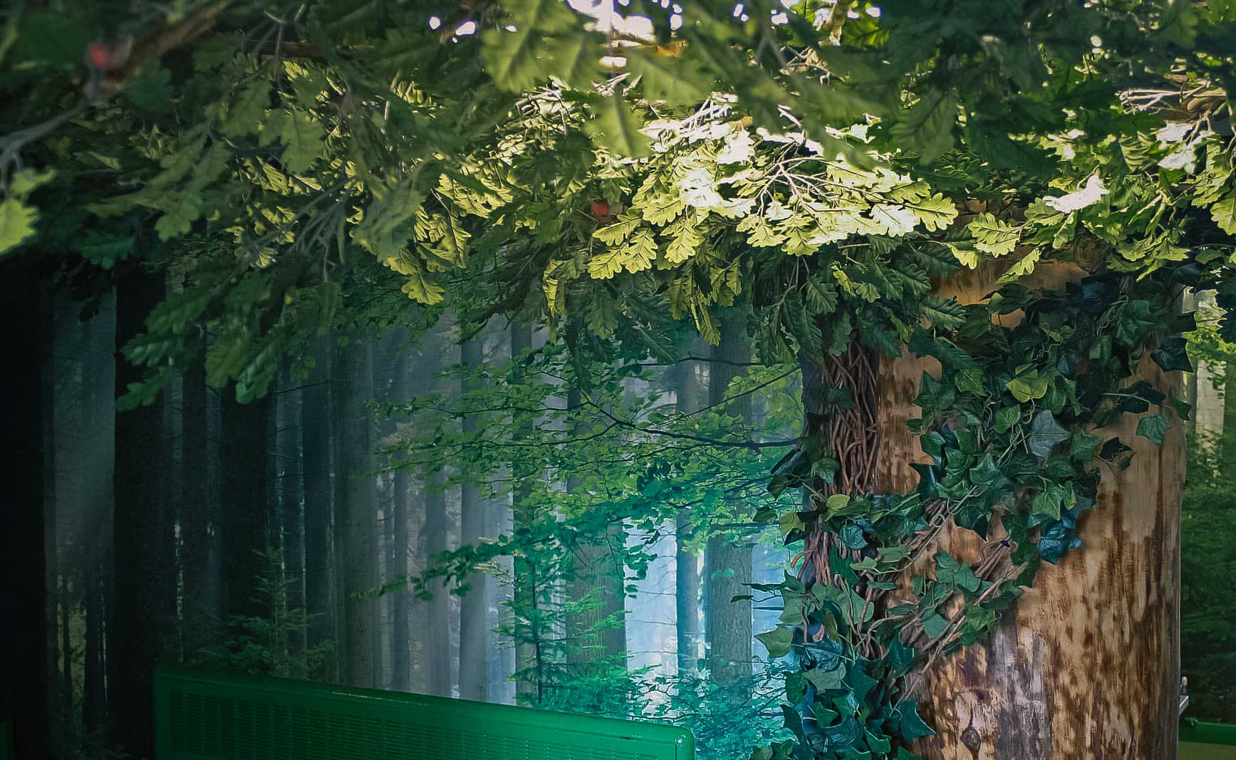 If you go down to the woods today...