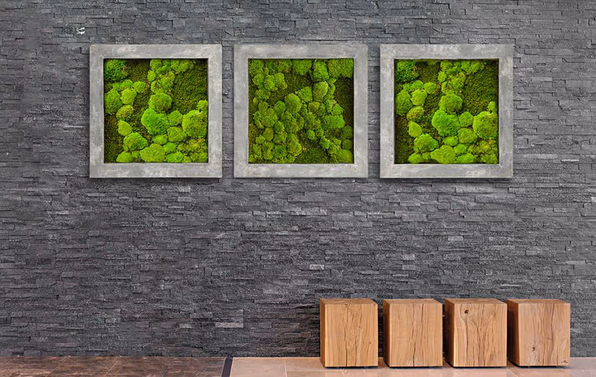 All of the Green, None of the Toil