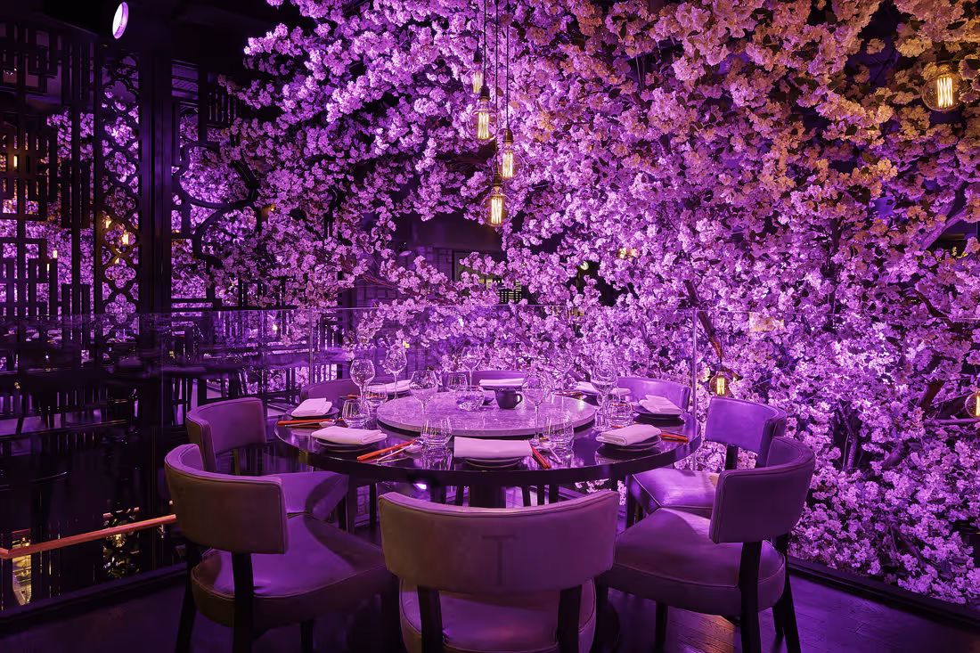Look Up! The Magic of Artificial Ceiling Planting