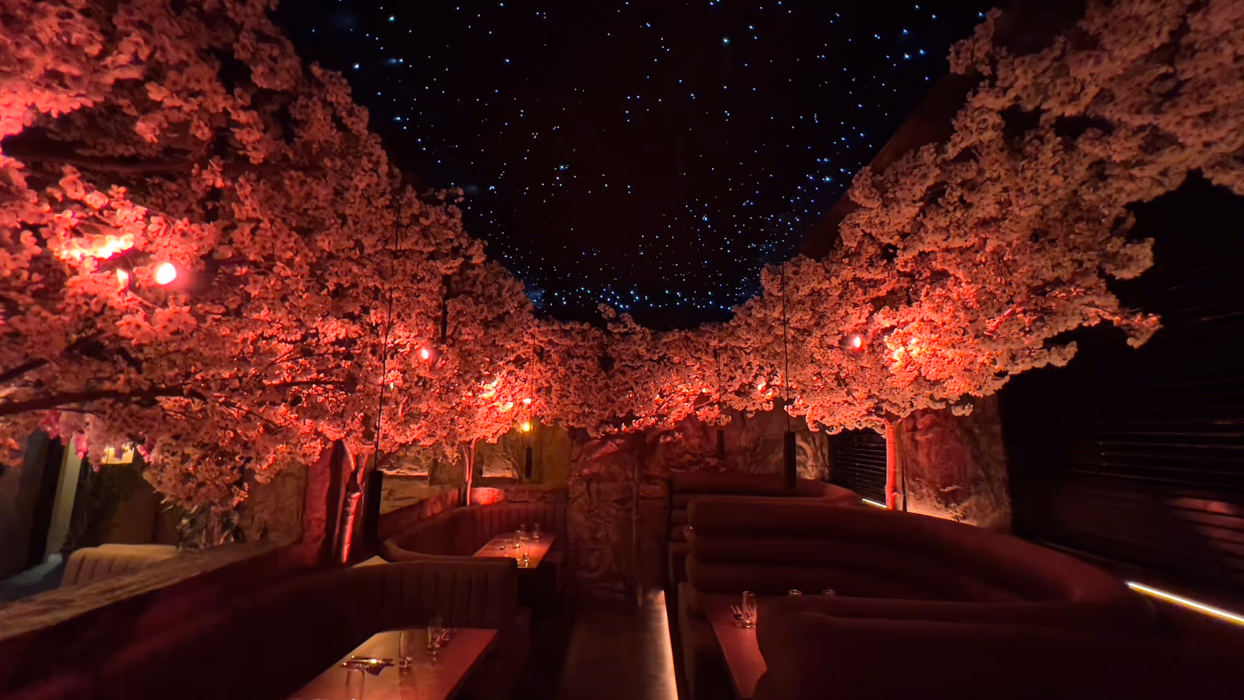 Look Up! The Magic of Artificial Ceiling Planting