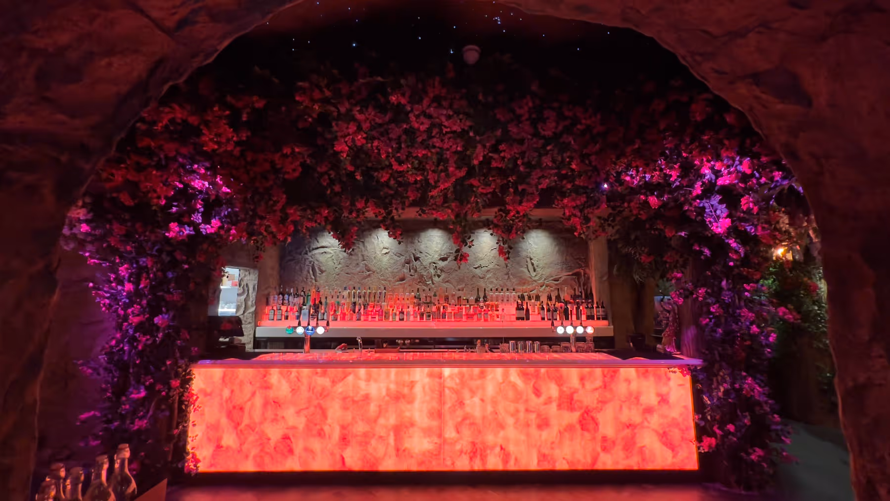 Look Up! The Magic of Artificial Ceiling Planting