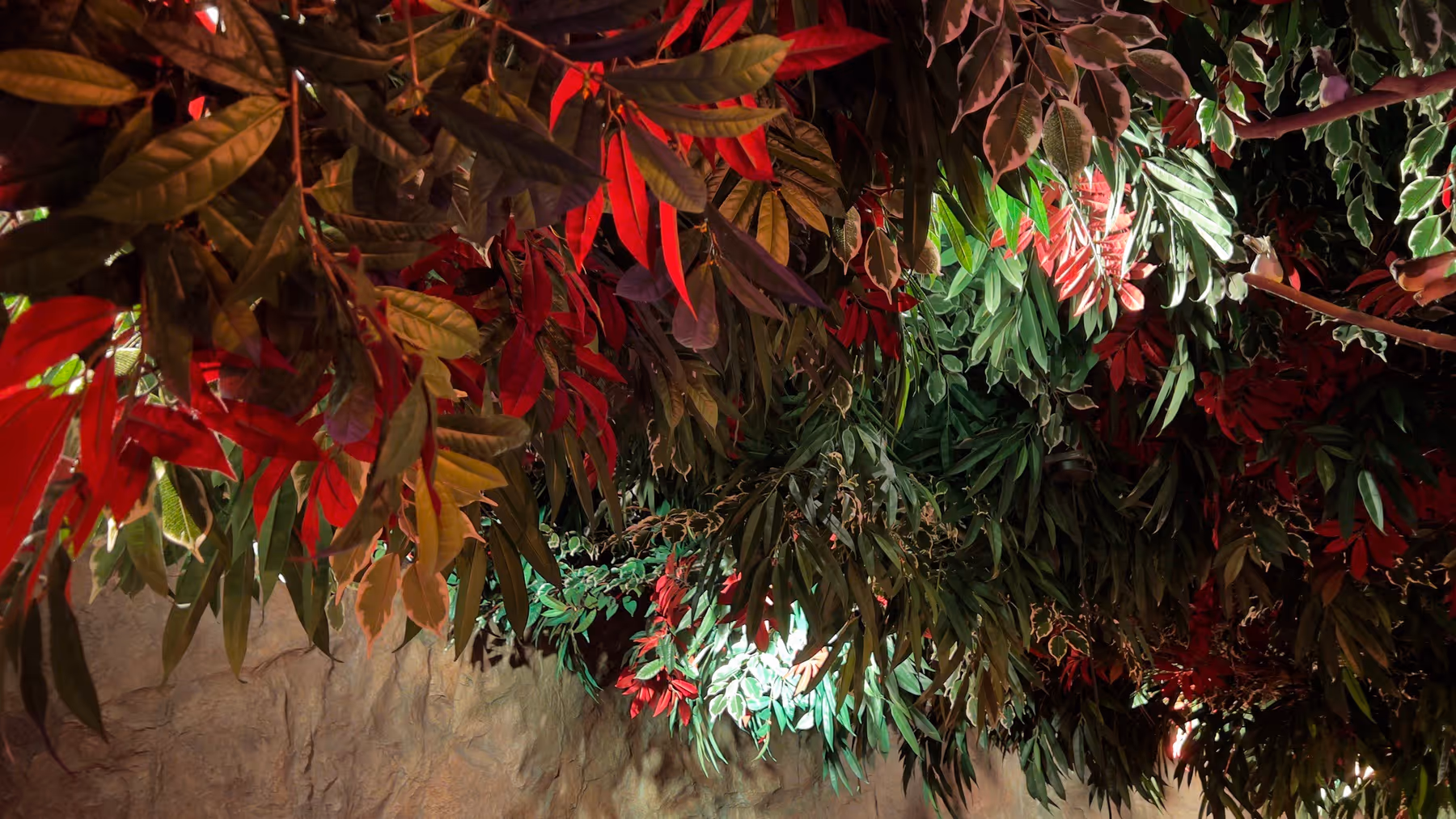 Look Up! The Magic of Artificial Ceiling Planting