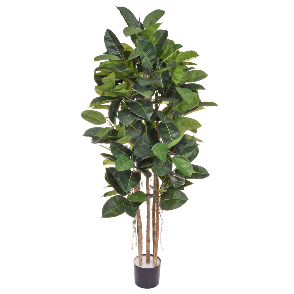 Artificial Ficus Elastica Tree 170cm