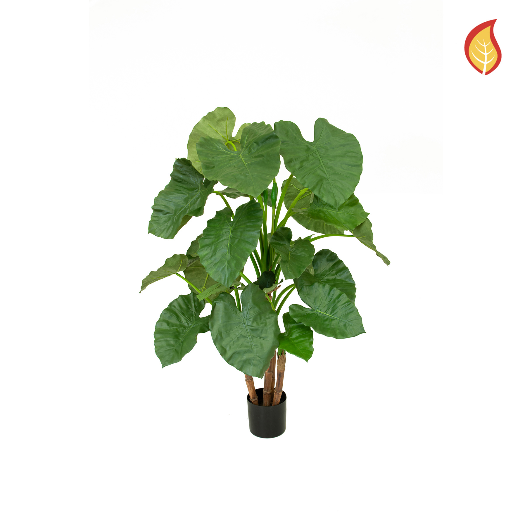 Artificial Alocasia Tree 120cm FR