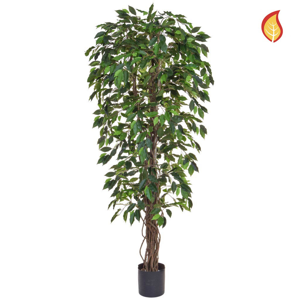 Artificial Ficus Liana Green Tree 180cm FR