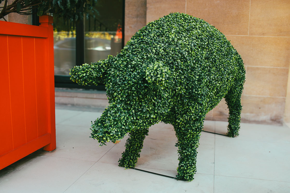 Attractive faux green wall in restaurant