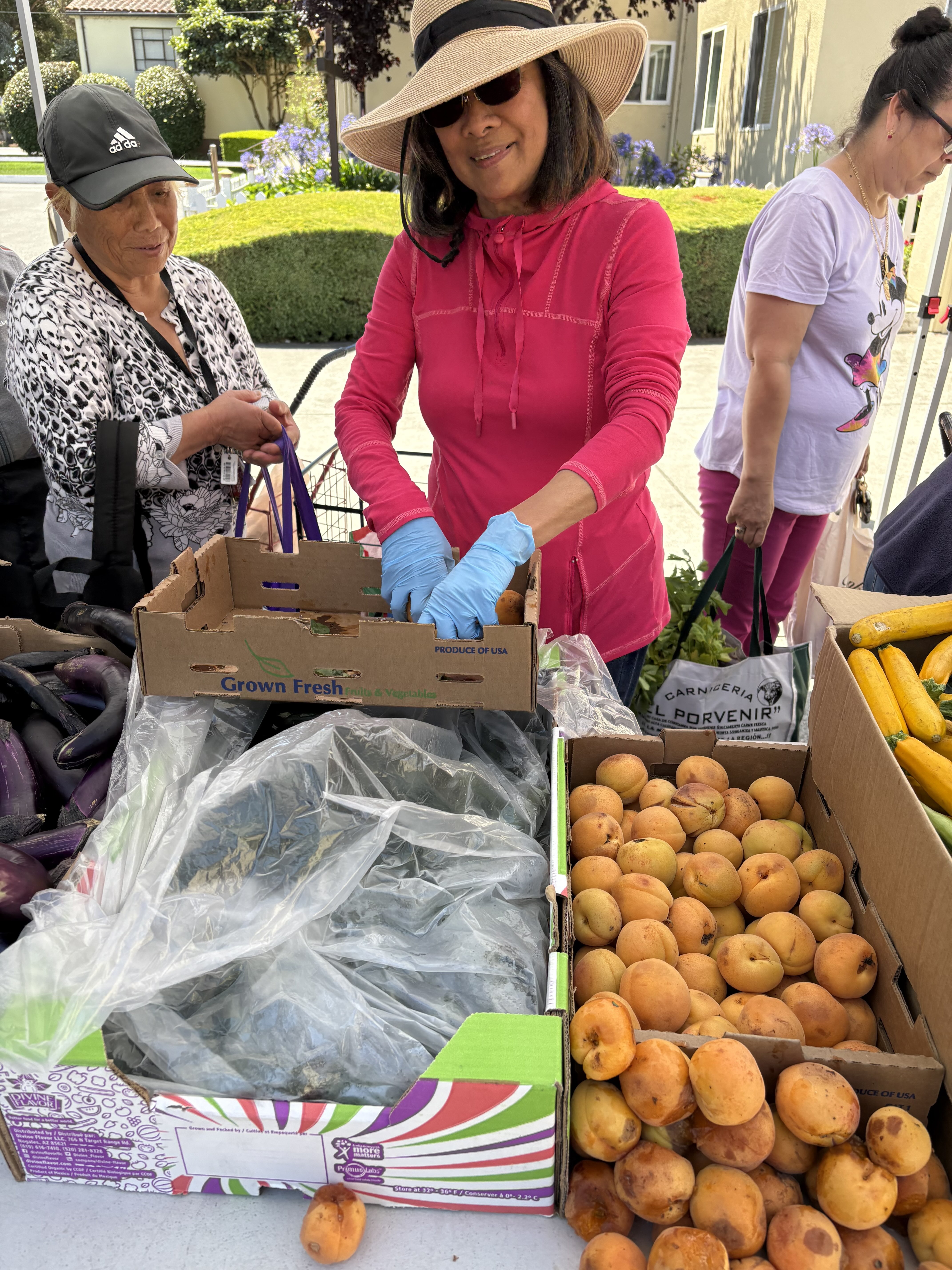 Confession at Our Lady of the Pillar