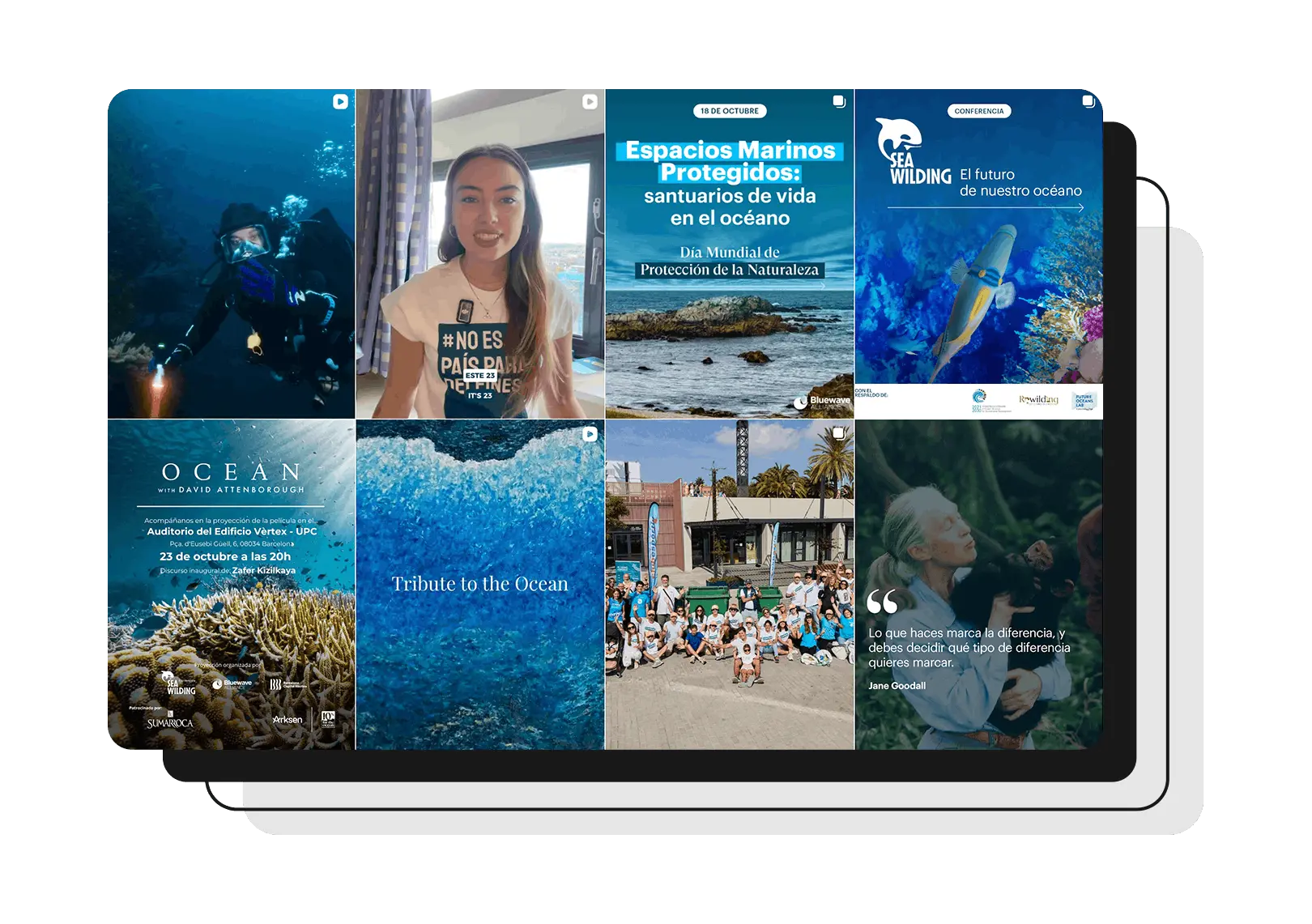 Bluewave Alliance - Caso de éxito Social Media