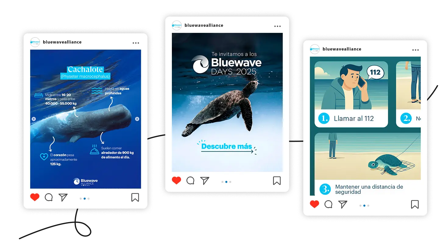 Bluewave Alliance - Caso de éxito Social Media