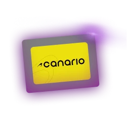 Logo da Canário Capital, prontos pra te guiar pra uma nova era.