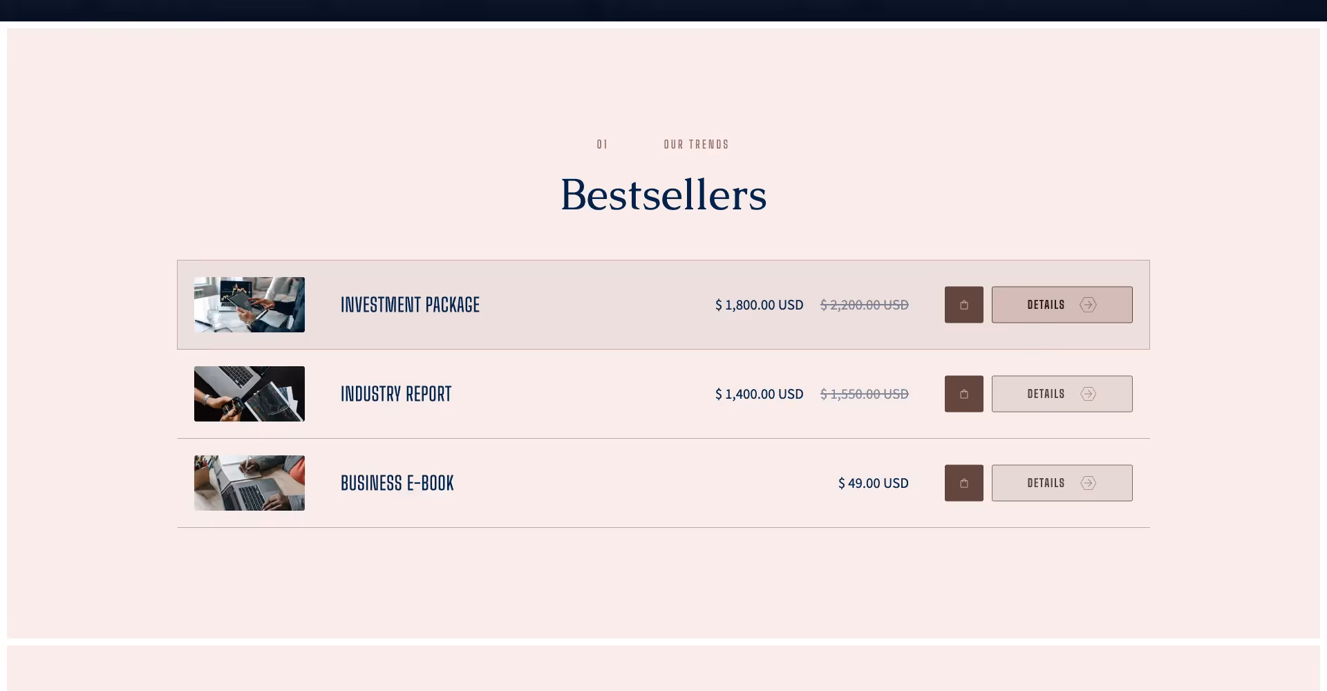 Finance ecommerce website template screen