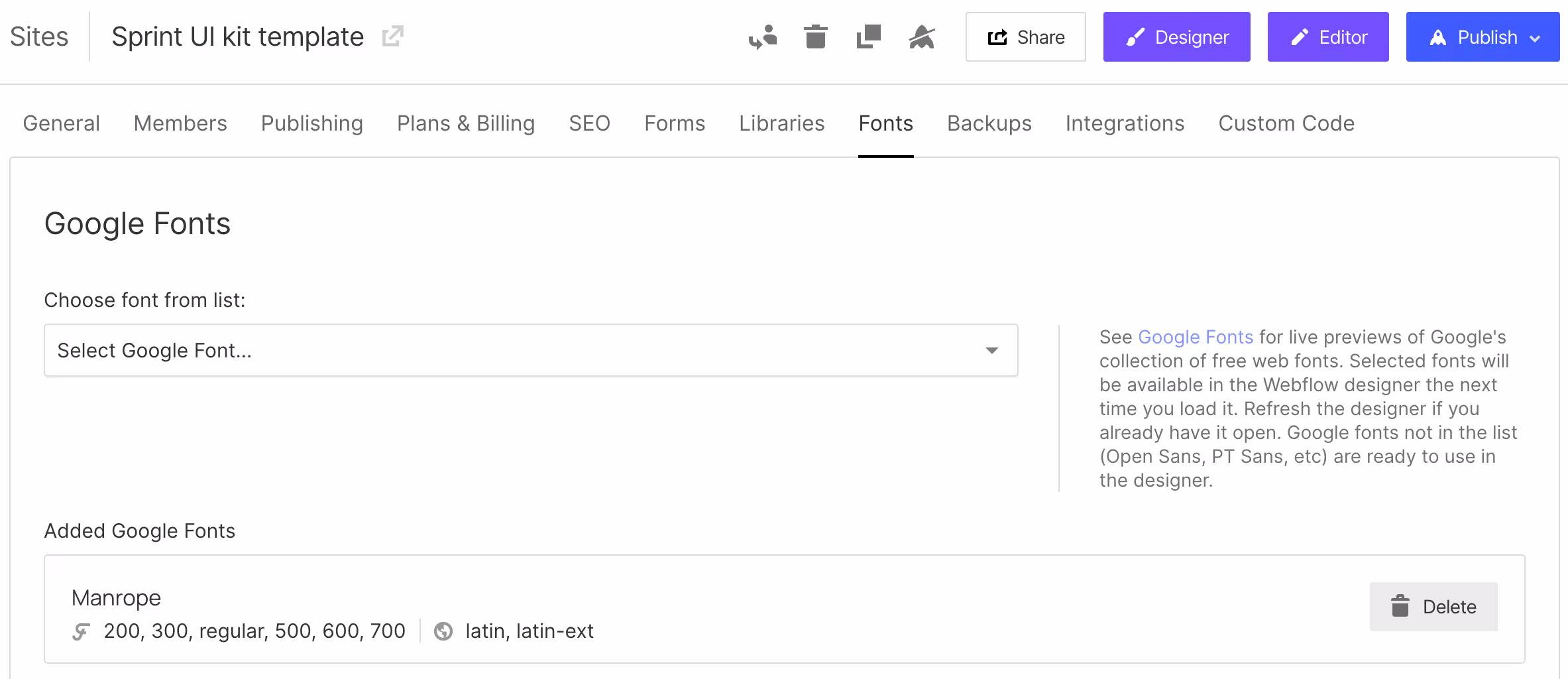 Google fonts in the project settings