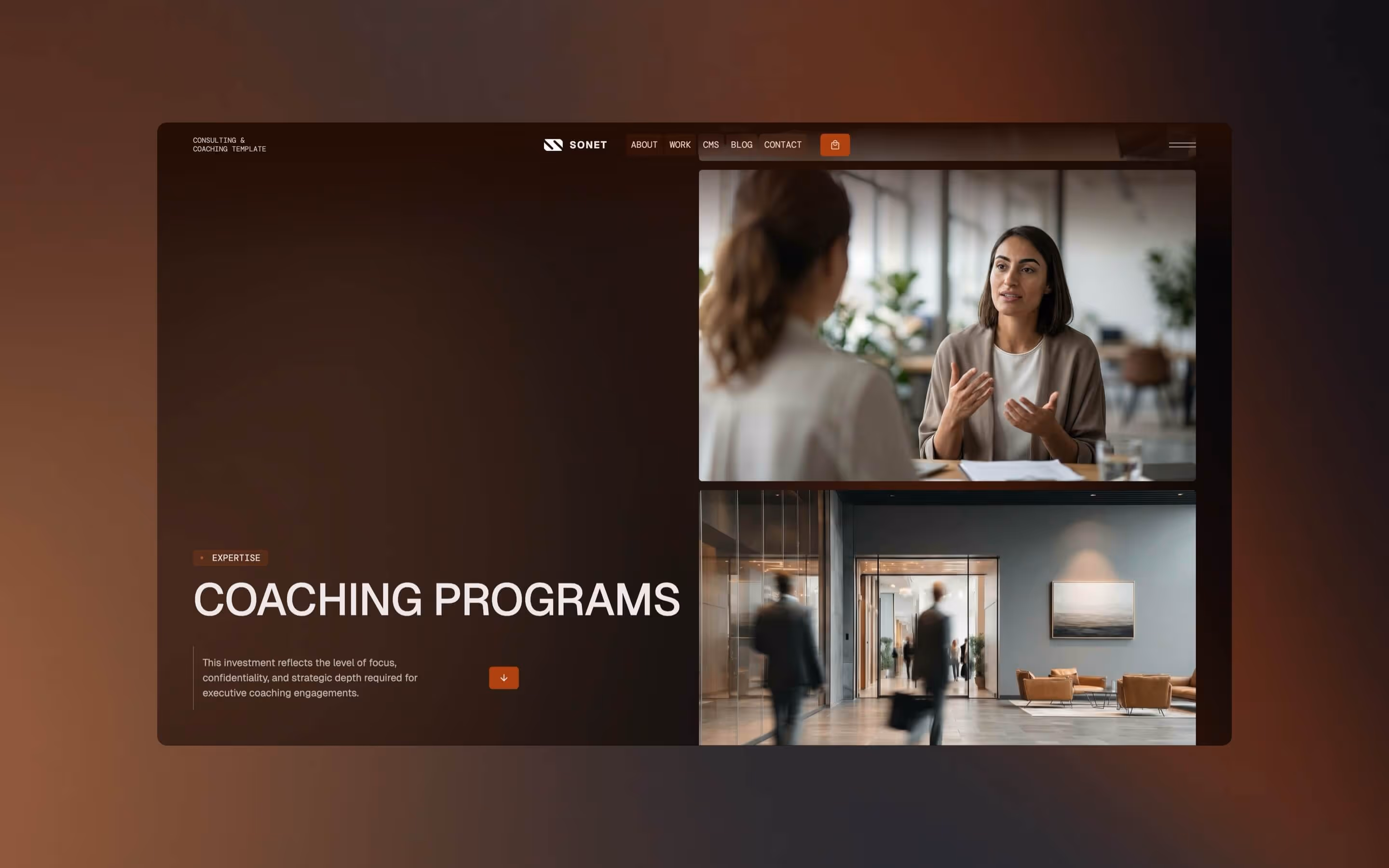 Sonet is a CMS template for consulting, coaching, advisory, finance businesses