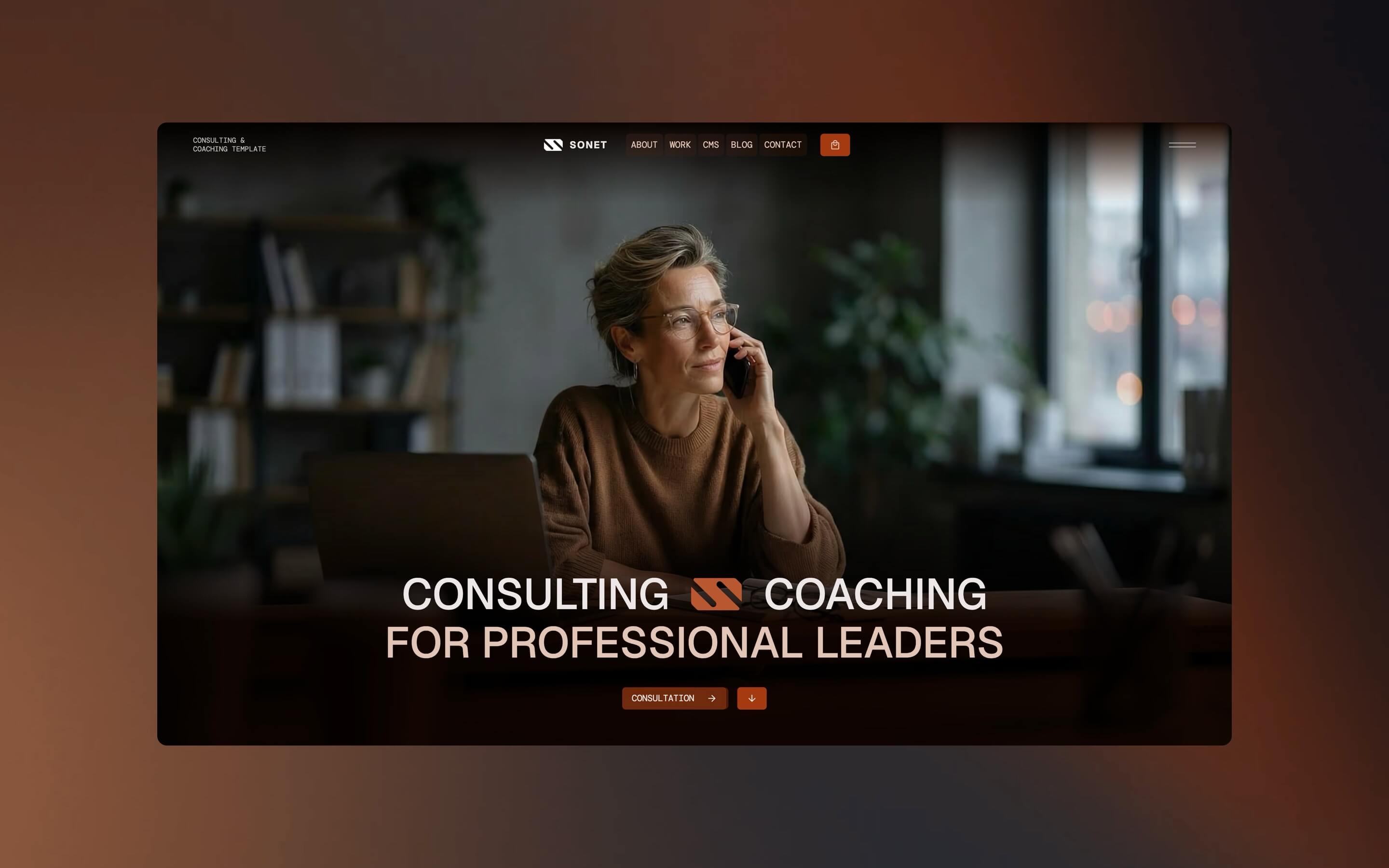 Sonet is a CMS template for consulting, coaching, advisory, finance businesses