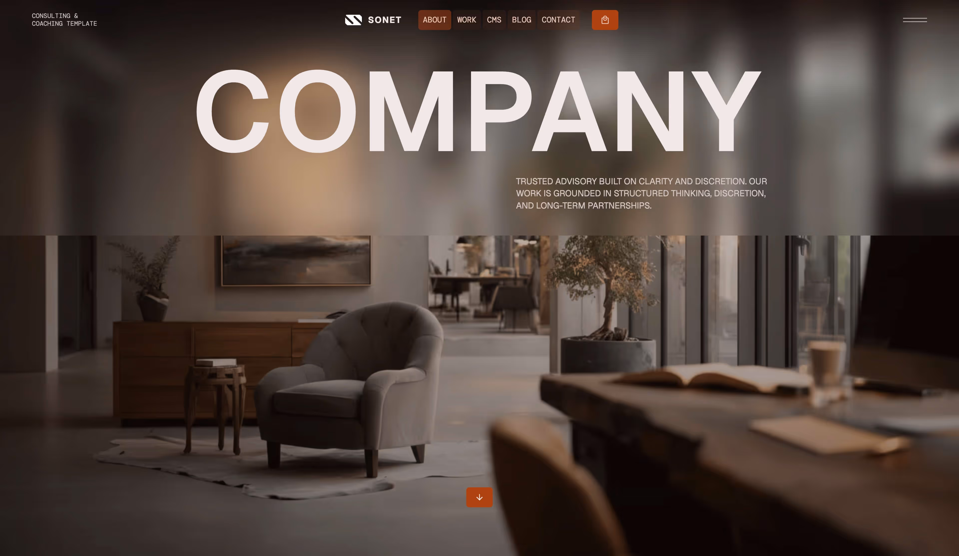 Sonet Webflow CMS template - Hero screen