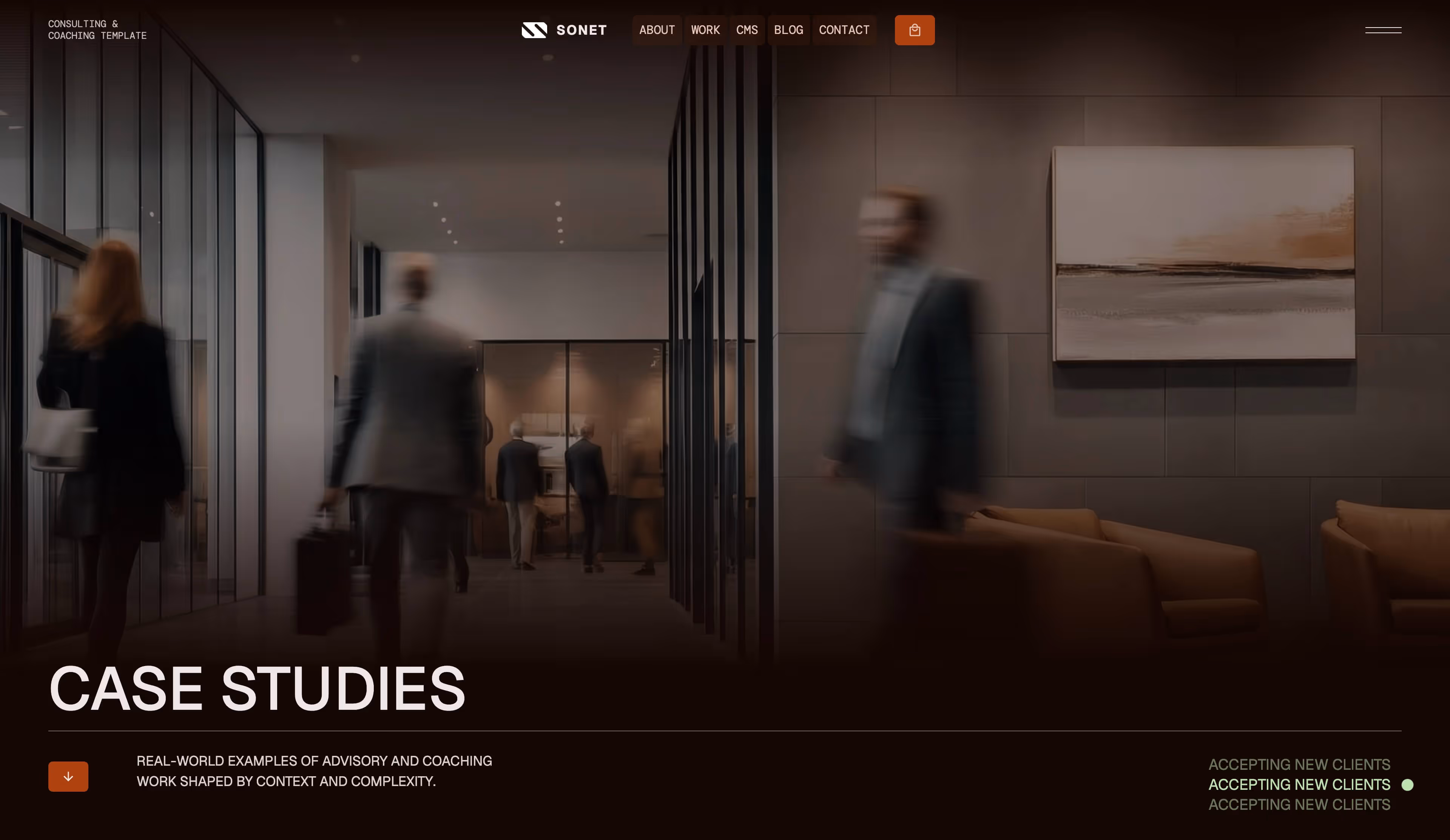 Sonet Webflow CMS template - Hero screen