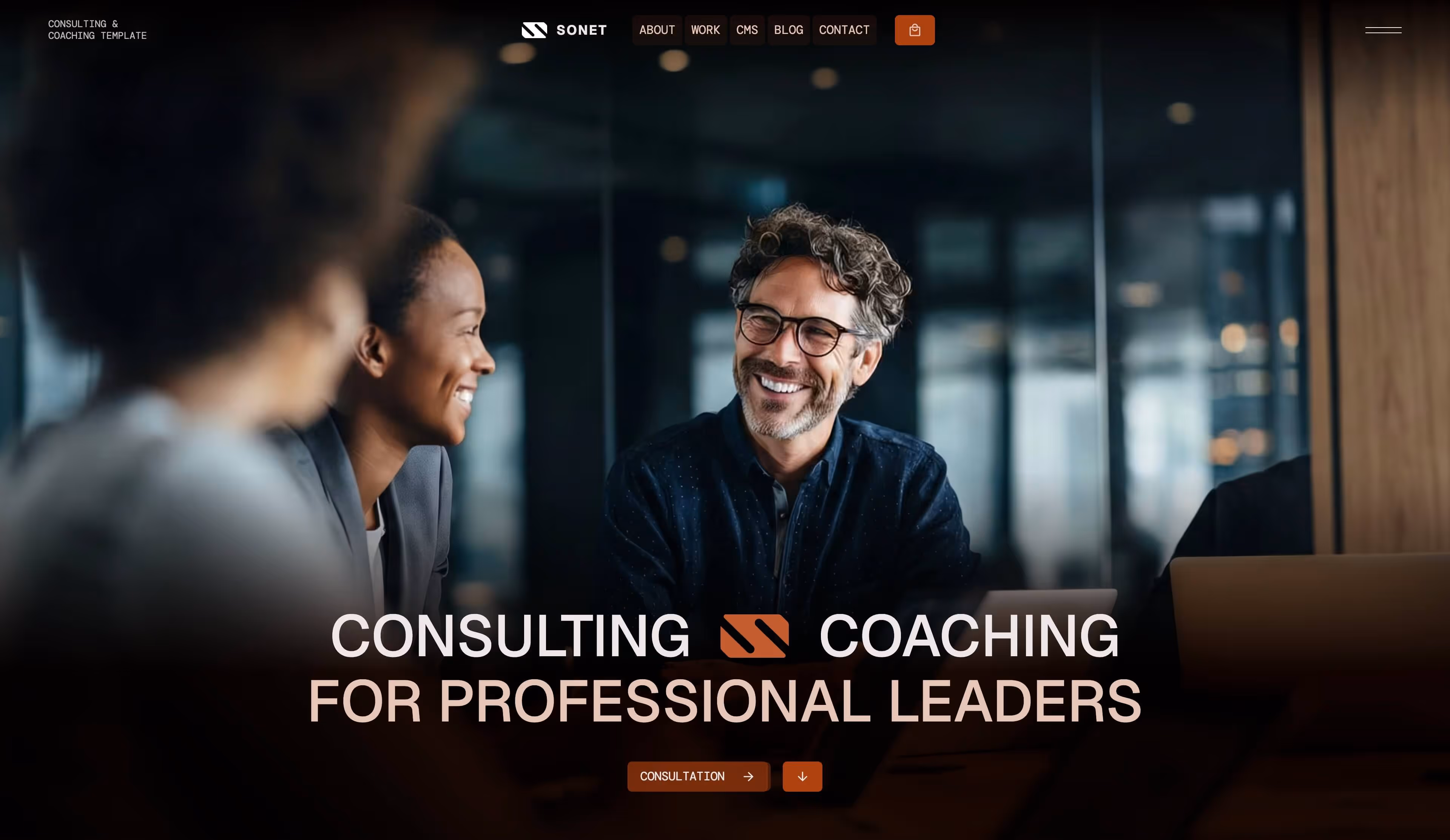 Sonet Webflow CMS template - Hero screen
