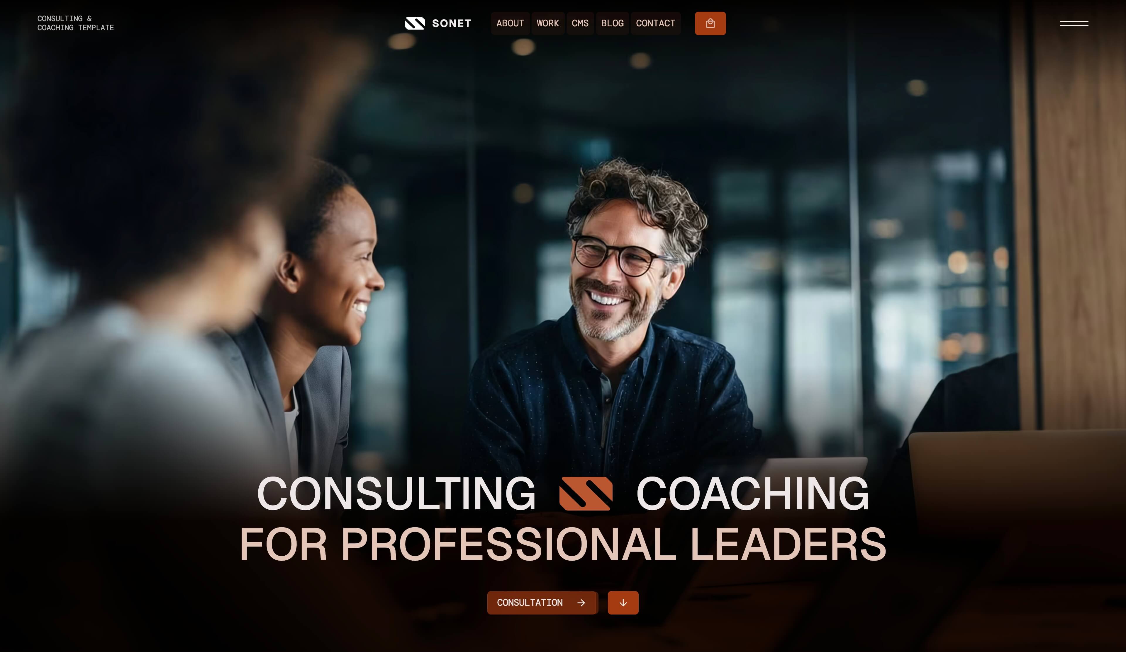 Sonet Webflow CMS template - Hero screen