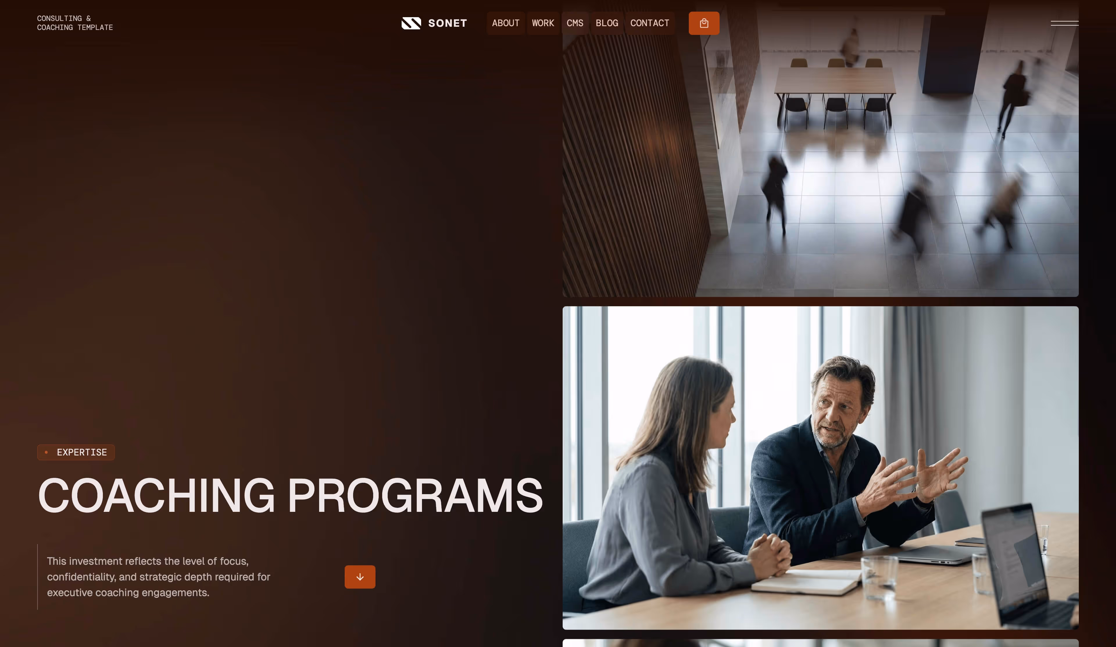 Sonet Webflow CMS template - Hero screen