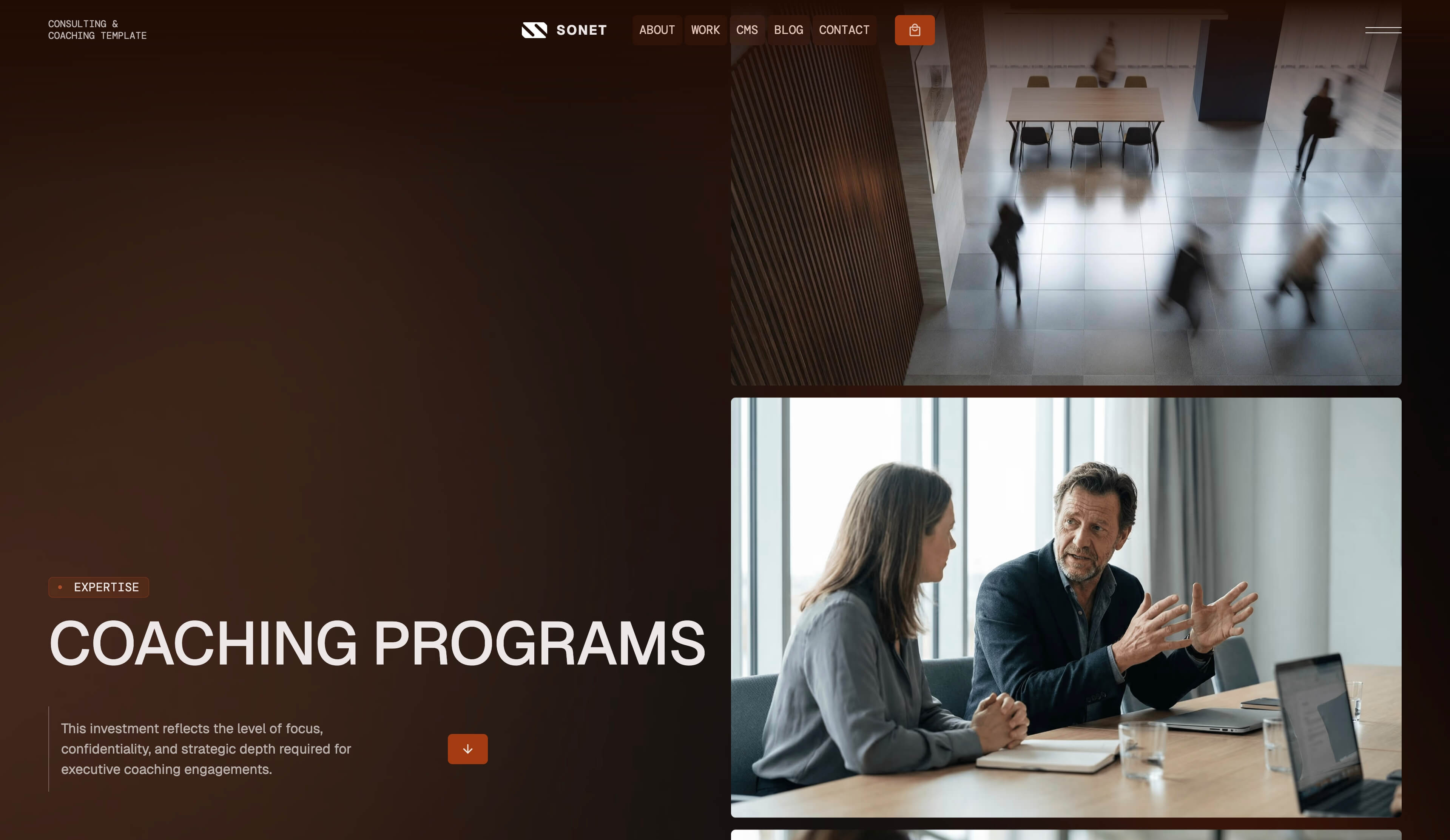 Sonet Webflow CMS template - Hero screen