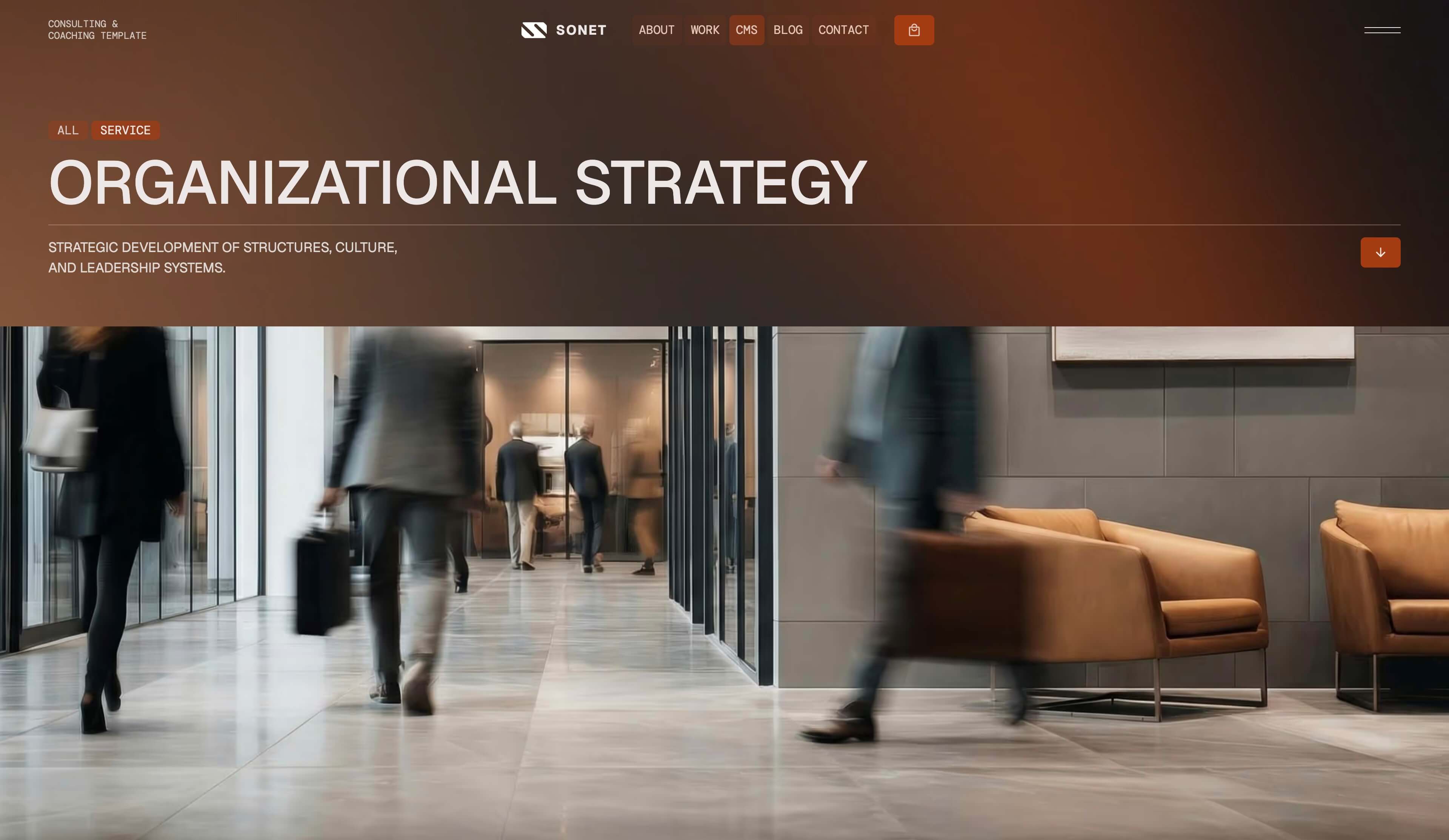 Sonet Webflow CMS template - Hero screen