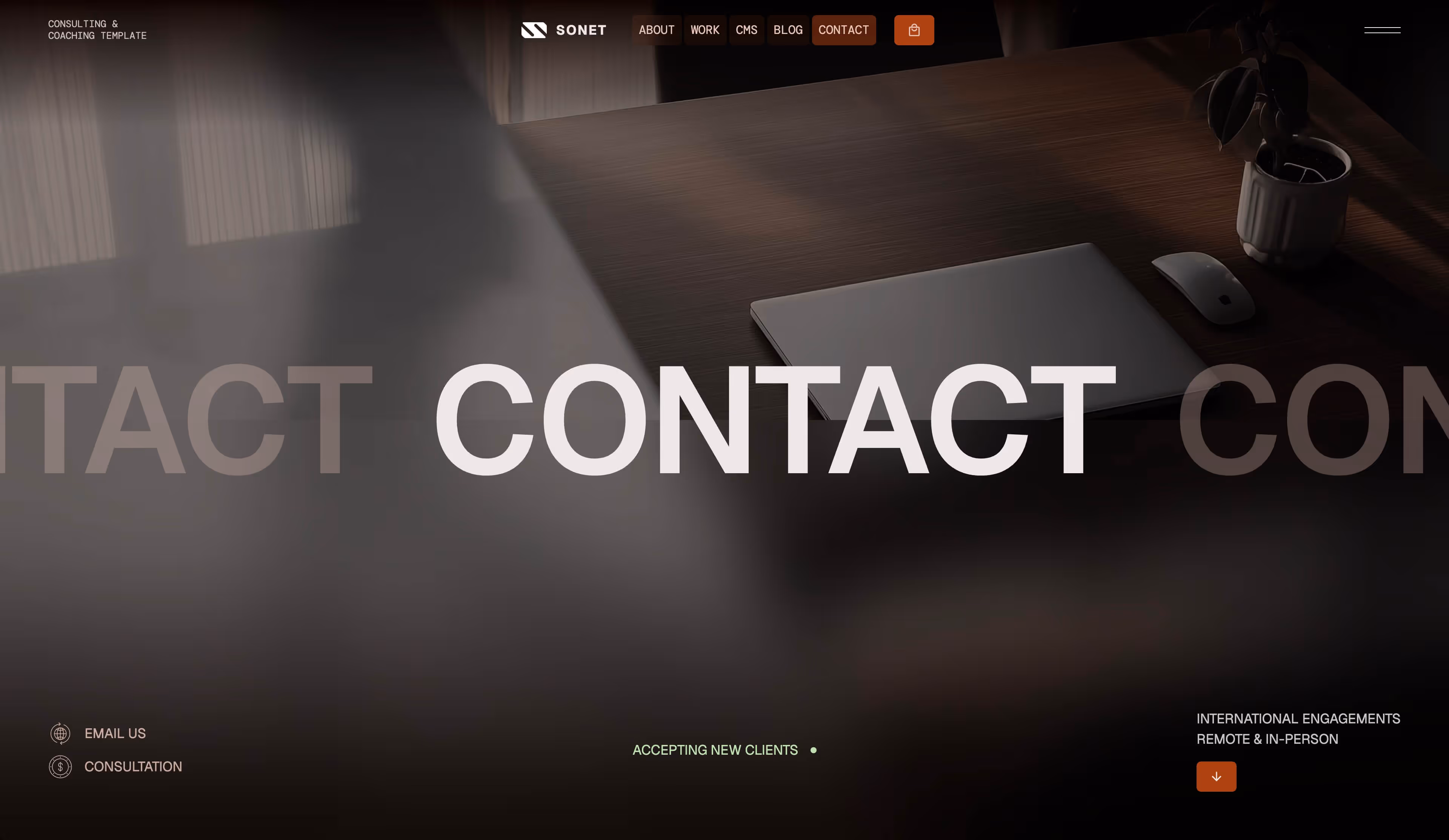 Sonet Webflow CMS template - Hero screen