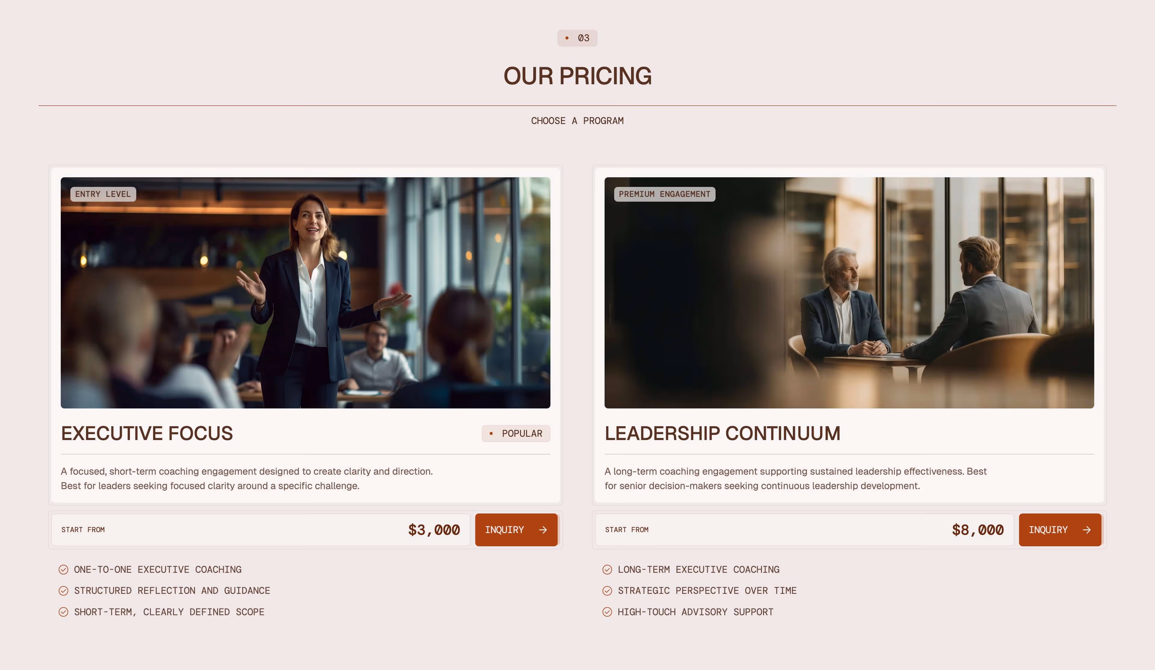 Sonet Webflow CMS template - Section screen