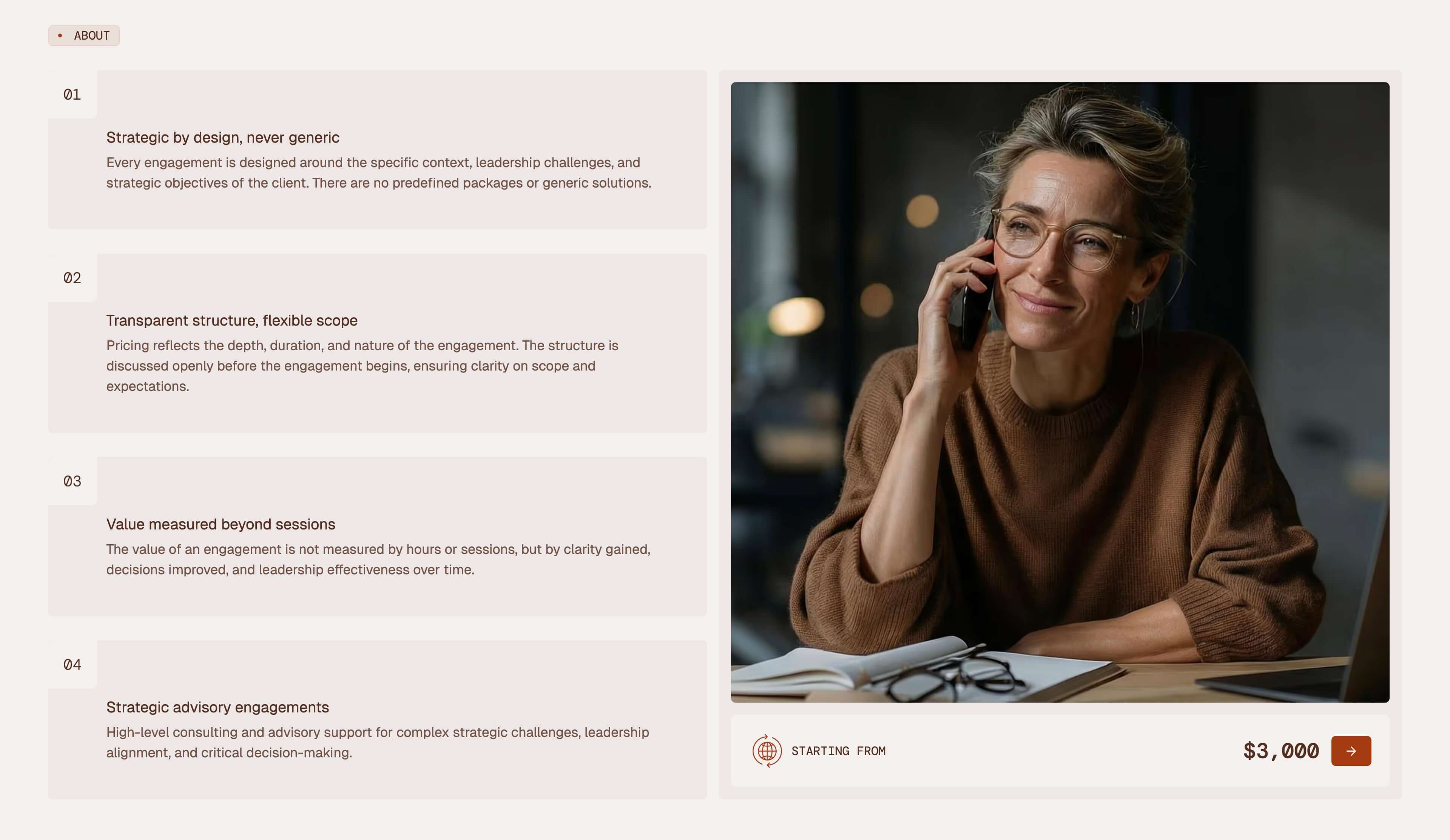Sonet Webflow CMS template - Section screen