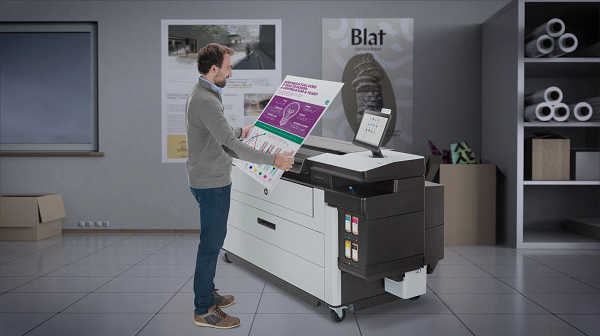 man viewing HP Wide format Printer prints