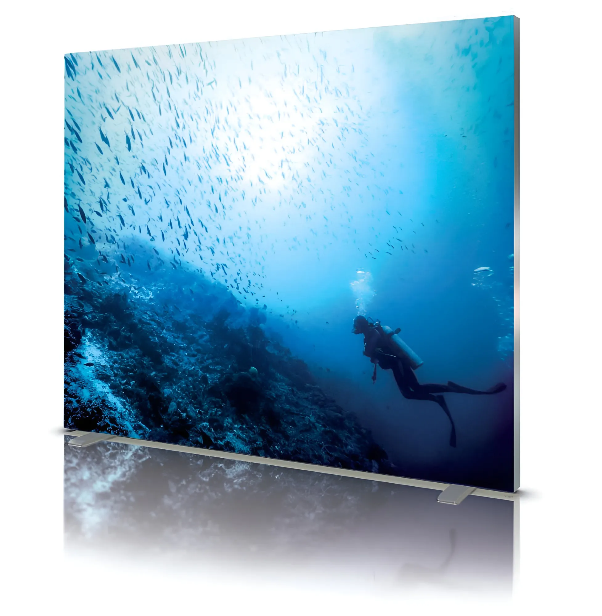 LED-Leuchtrahmen & SEG-Systeme