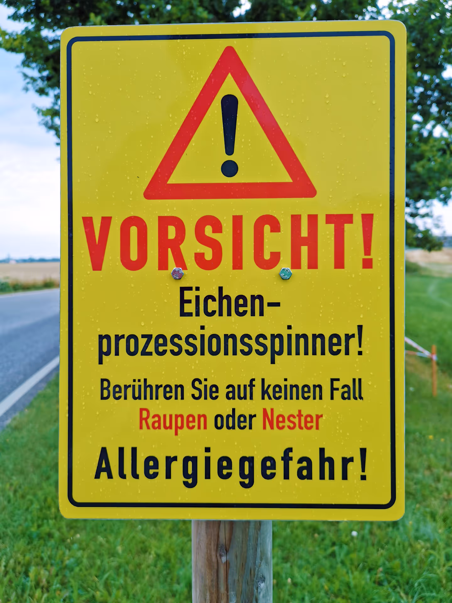 Ein regennasses Warnschild, das darauf hinweist, dass es in dem Gebiet dahinter Eichenprozessionsspinner gibt und hohe Allergiegefahr besteht
