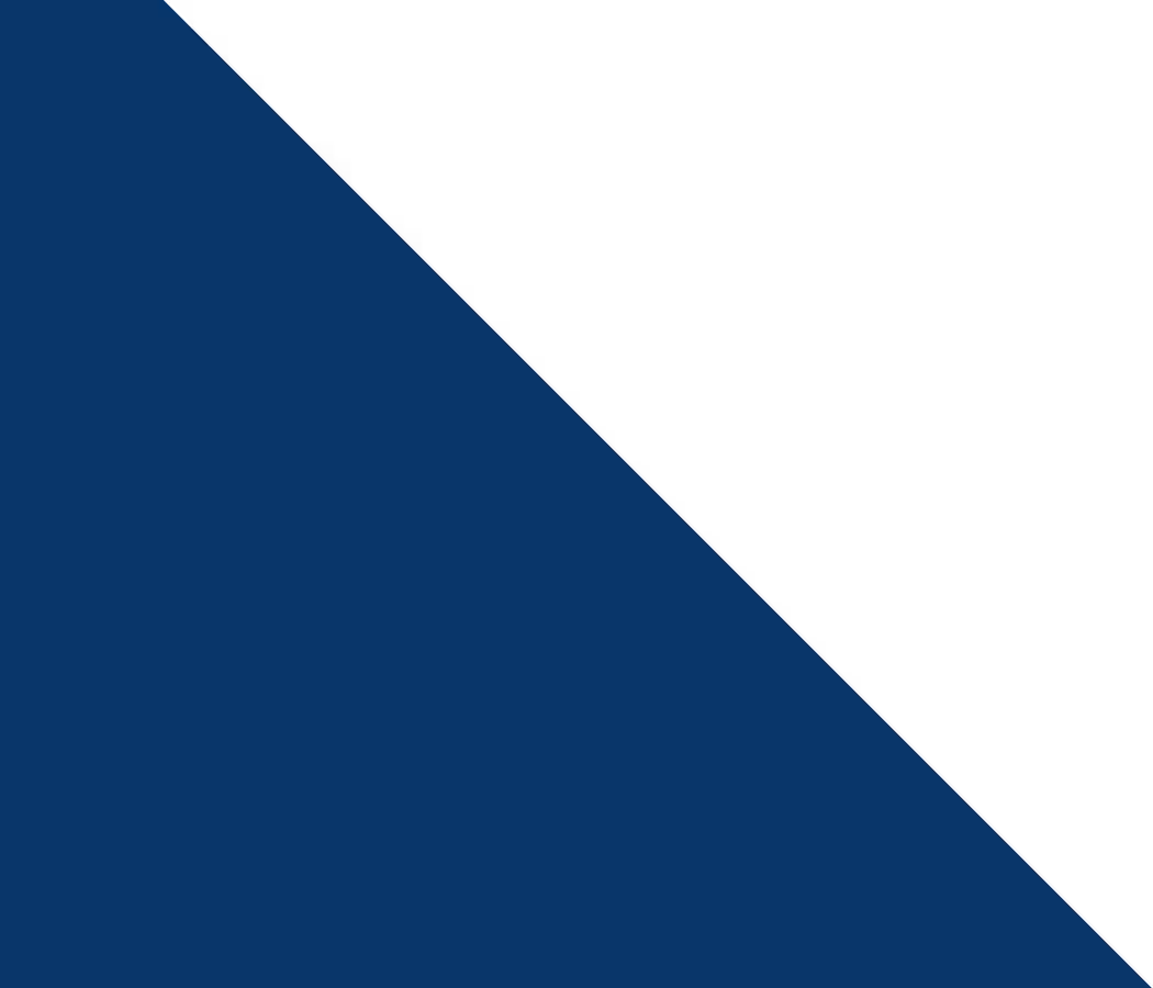 Bleu triangle